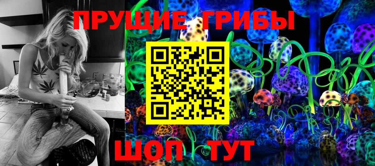 закладка  Псилоцибиновые грибы Psilocybe  Вход с VPN  Губаха 